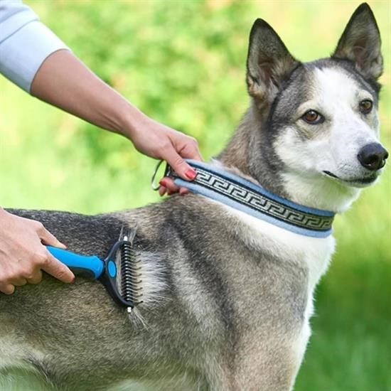 Sepet Bizde ® Plastik Saplı Metal Kedi Köpek Bakım Kıtık Tüy Topak Açıcı Tarak