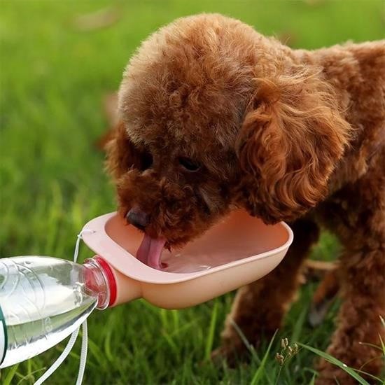 Sepet Bizde ® Evcil Hayvan Plastik Yıkanabilir Taşınabilir Su Şişesi Bağlantılı Su Kabı