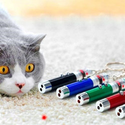 Sepet Bizde ®  3 Fonksiyonlu Kırmızı Beyaz Işıklı Led Lazer Kedi Köpek Oyuncak Anahtarlık