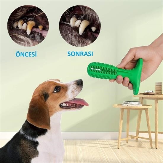 Sepet Bizde ® Köpek Diş Temizleyici ve Kaşıyıcı Sağlıklı Küçük Boy Oyuncak